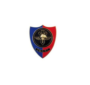 Pin Carabinieri gis g.i.s. distintivo spilla Divisa Militare