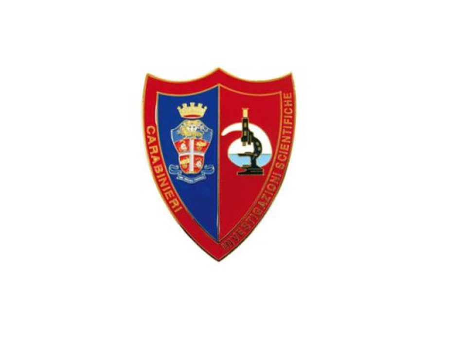 Pin Carabinieri investigazioni scientifiche distintivo spilla Divisa Militare