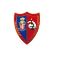 Pin Carabinieri investigazioni scientifiche distintivo spilla