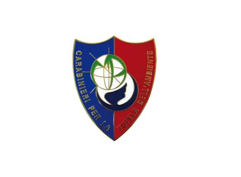 Pin Carabinieri nucleo operativo tutela distintivo spilla Divisa Militare