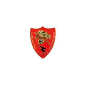 Pin Carabinieri radiomobile distintivo spilla Divisa Militare