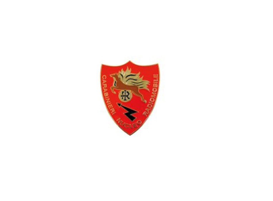 Pin Carabinieri radiomobile distintivo spilla Divisa Militare