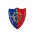 Pin Carabinieri servizio navale distintivo spilla