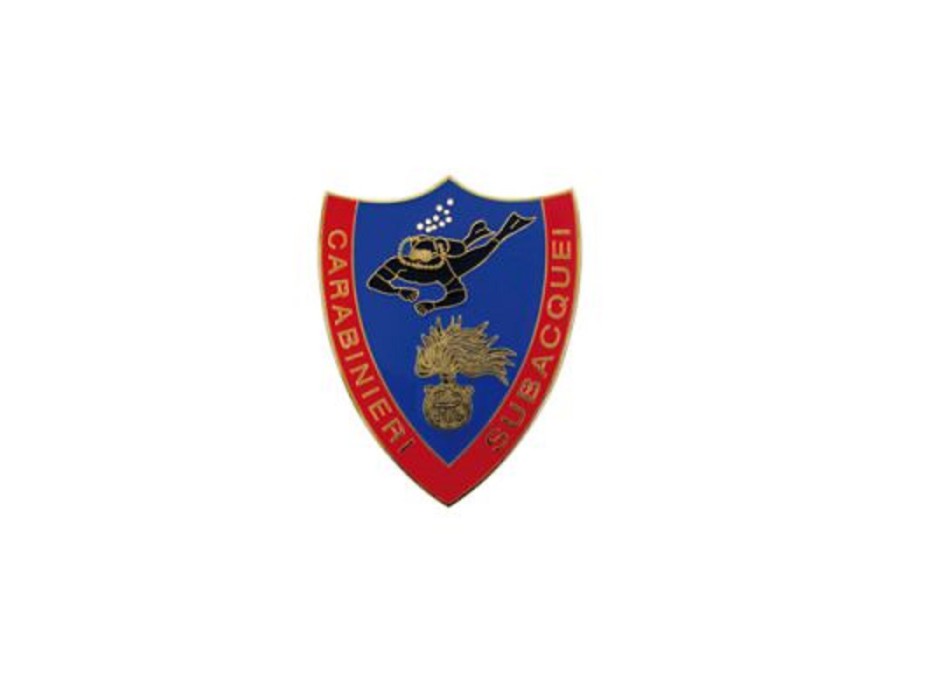 Pin Carabinieri subacquei distintivo spilla Divisa Militare
