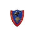 Pin Carabinieri subacquei distintivo spilla