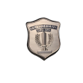 Placca argento GPG IPS – Guardia Giurata Particolare Incisione Personalizzata Inclusa 