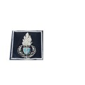 Qualifica agente polizia penitenziaria velcro polo