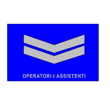 Qualifica Operatori e assistenti Vigili del Fuoco VVF due baffi Divisa Militare