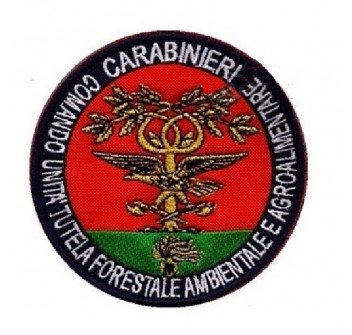 Scudetto patch Carabinieri Forestale Divisa Militare