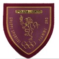 Scudetto Polizia di Stato Fiamme Oro patch Plastificata