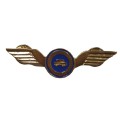 Spilla distintivo Guida veloce auto patente B da giacca blu