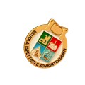 Spilla GDF scuola Ispettori e sovrintendenti argento Guardia di Finanza con numero di corso inciso