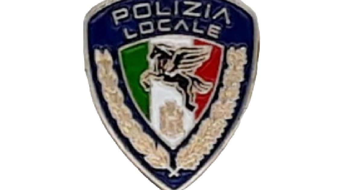 Spilla Metallica Agente Speciale FBI - Distintivo In Metallo, 6.7x5.8 Cm