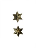 Stelle Grado Oro 6 Punte a vite