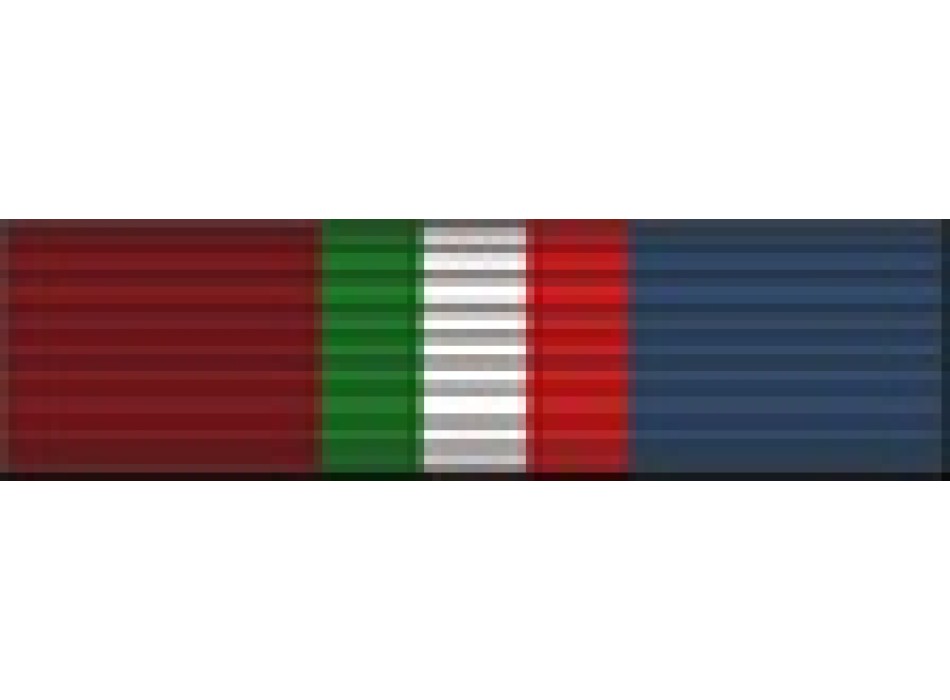 Strade Sicure croce e nastrino Divisa Militare