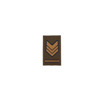 Tubolare Sergente Maggiore Capo Aviotruppe Esercito verde Divisa Militare