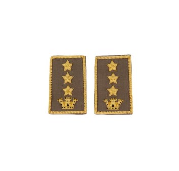 Tubolari Colonnello Esercito ricamati kaki  Divisa Militare