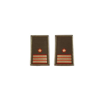 Tubolari Luogotenente Esercito kaki Divisa Militare